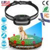 Wireless GPS Dog Fence Rechargeable IPX7 Waterproof Electric Dog Collar 98-3280FT Radius Pet Containment System Outdoor for Small Medium Large Dogs